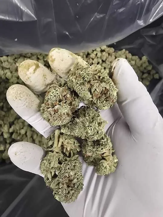 Grasshopper Farms 13.jpg