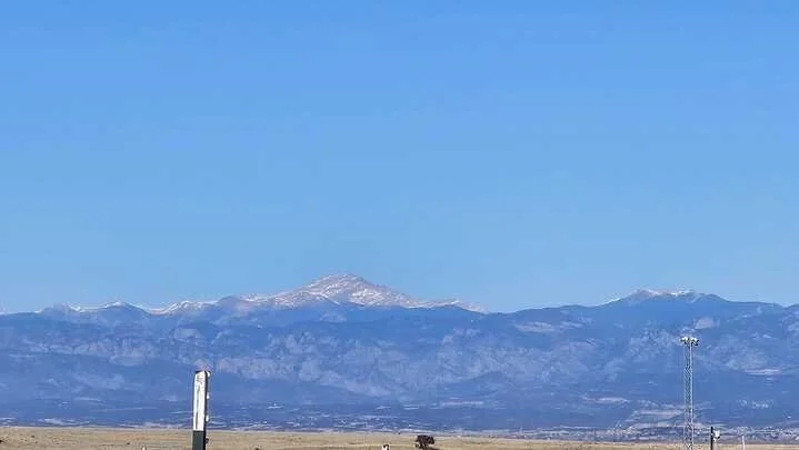 Grasshopper Farms 7.jpg