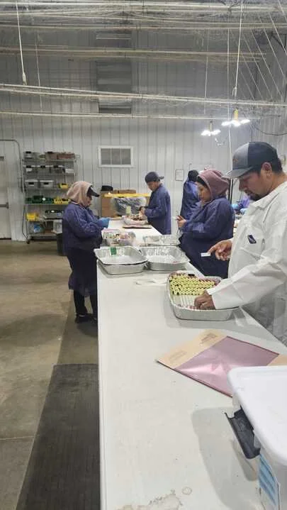 Grasshopper Farms 10.jpg