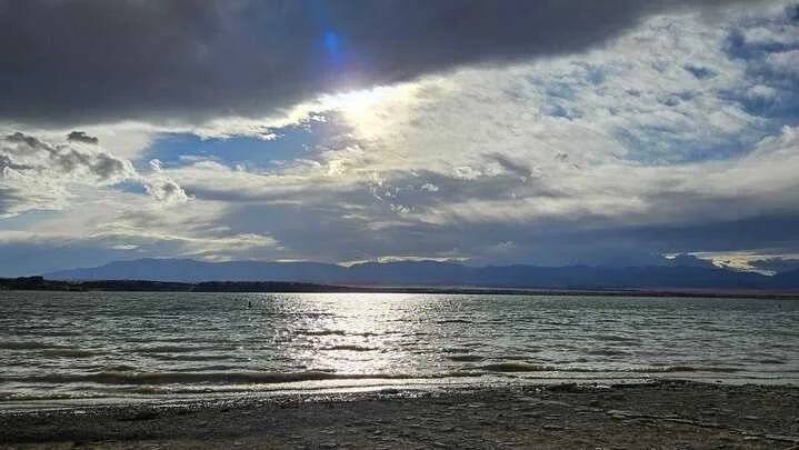 Grasshopper Farms 9.jpg