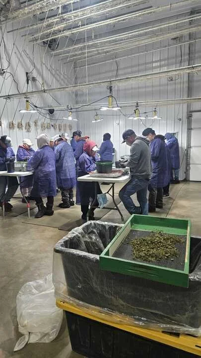 Grasshopper Farms 12.jpg