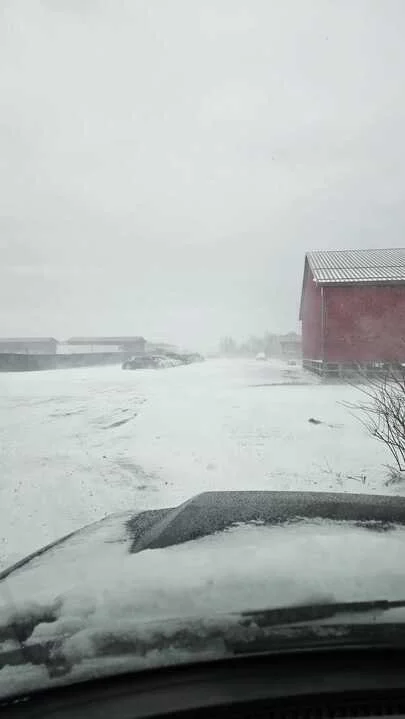 Grasshopper Farms 20.jpg