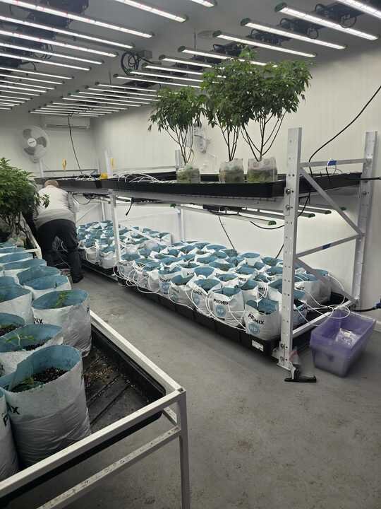 Grasshopper Farms 1.jpg