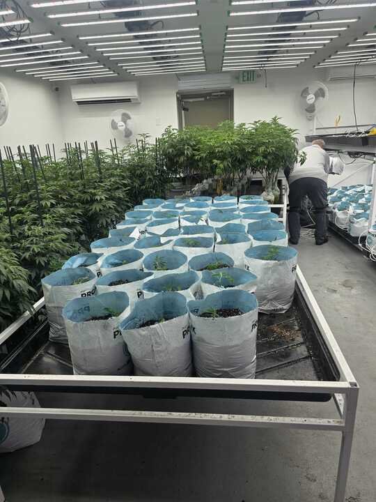 Grasshopper Farms 2.jpg