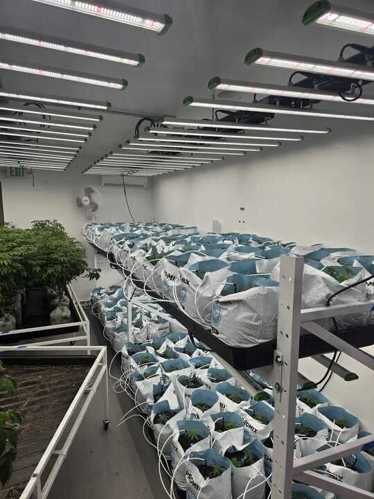 Grasshopper Farms 3.jpg