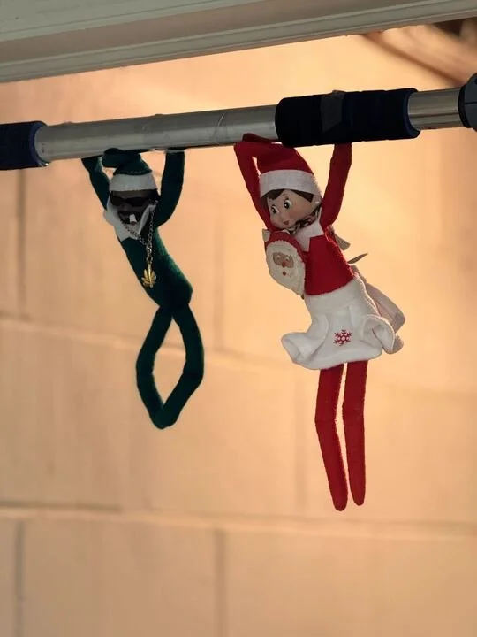 Grasshopper Farms 5.jpg