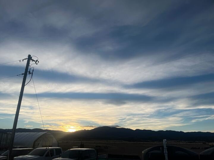 Grasshopper Farms 9.jpg