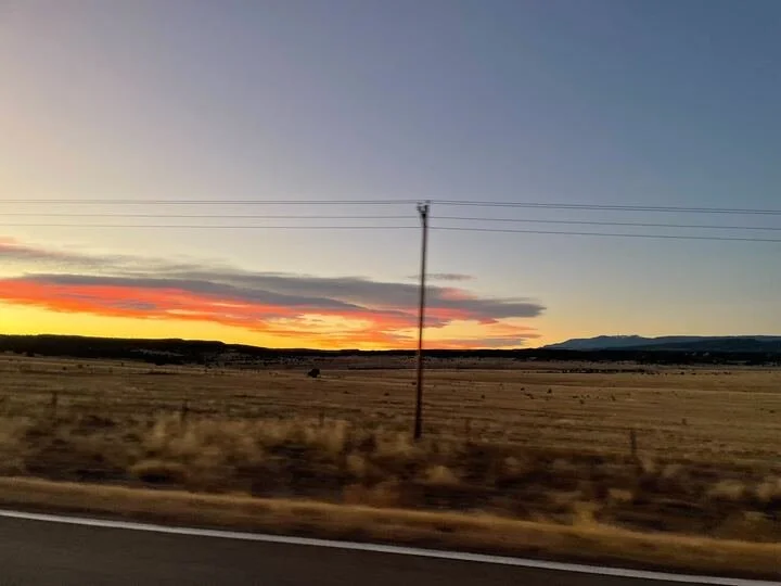 Grasshopper Farms 10.jpg