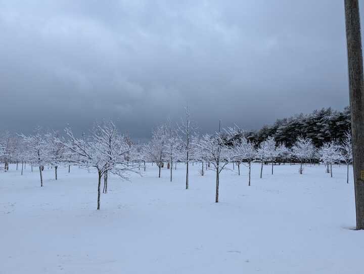 Grasshopper Farms 1.jpg