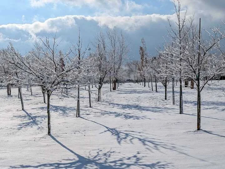 Grasshopper Farms 2.jpg