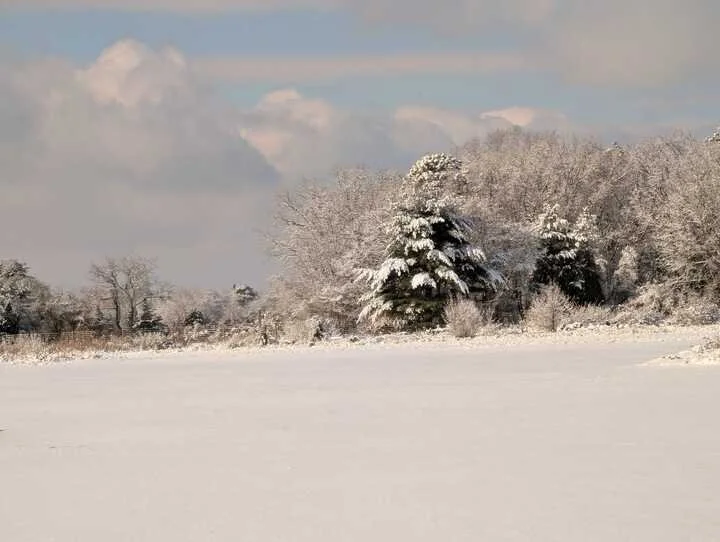 Grasshopper Farms 3.jpg