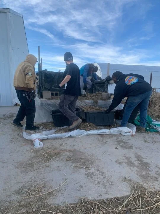 Grasshopper Farms 13.jpg