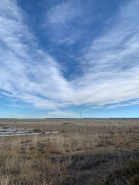 Grasshopper Farms 14.jpg