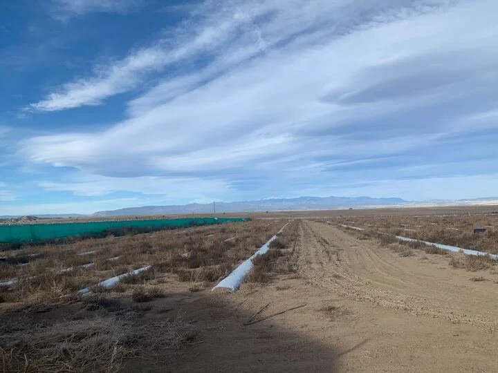 Grasshopper Farms 16.jpg