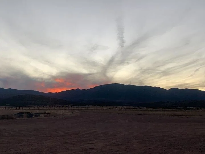 Grasshopper Farms 18.jpg