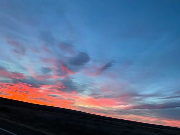 Grasshopper Farms 19.jpg