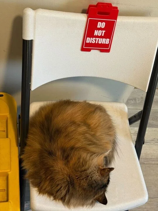 Grasshopper Farms 22.jpg