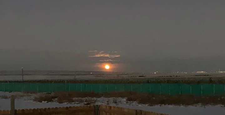 Grasshopper Farms 1.jpg