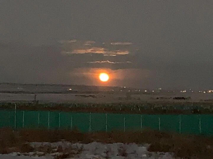 Grasshopper Farms 2.jpg