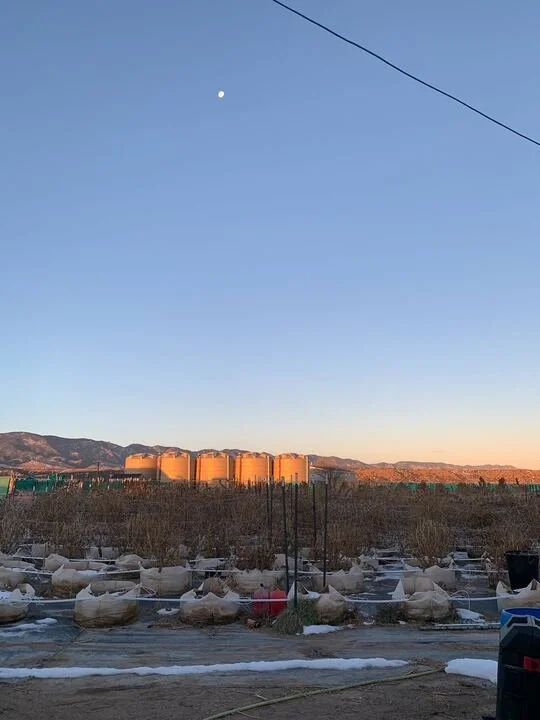 Grasshopper Farms 4.jpg