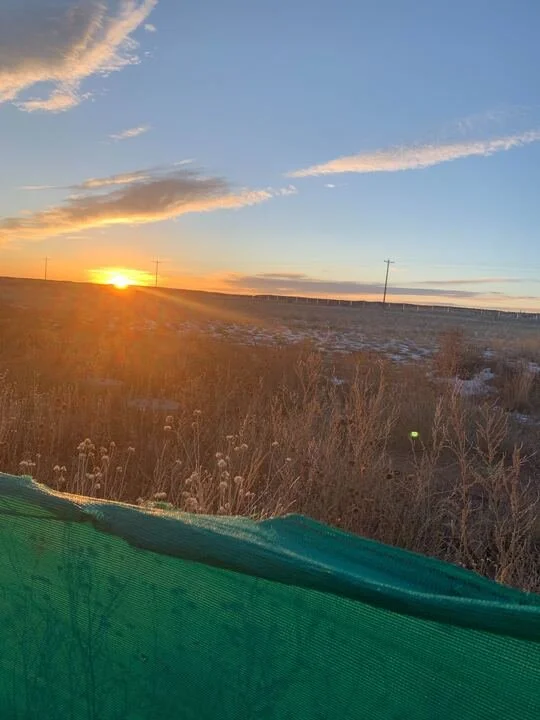 Grasshopper Farms 5.jpg