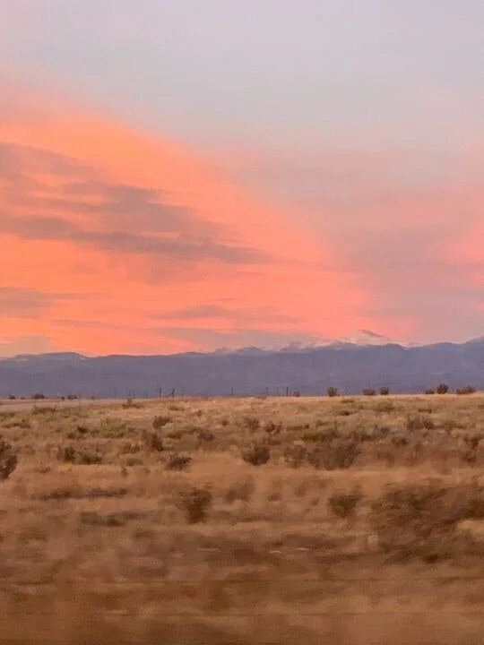 Grasshopper Farms 6.jpg