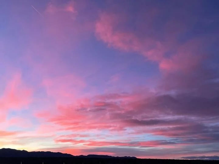 Grasshopper Farms 7.jpg