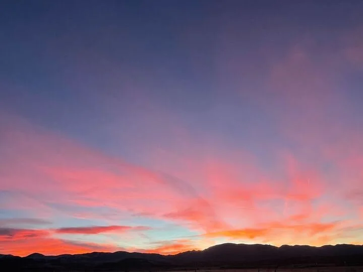 Grasshopper Farms 8.jpg