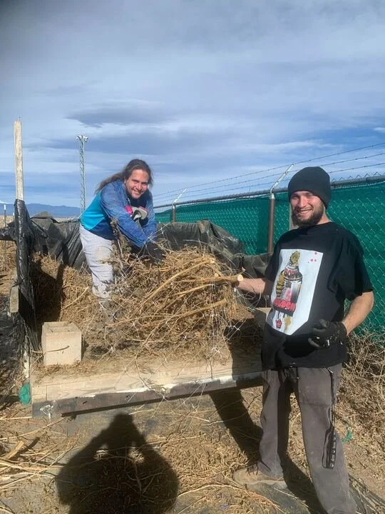 Grasshopper Farms 10.jpg