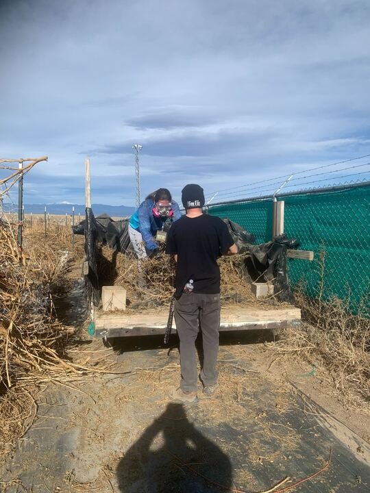 Grasshopper Farms 11.jpg