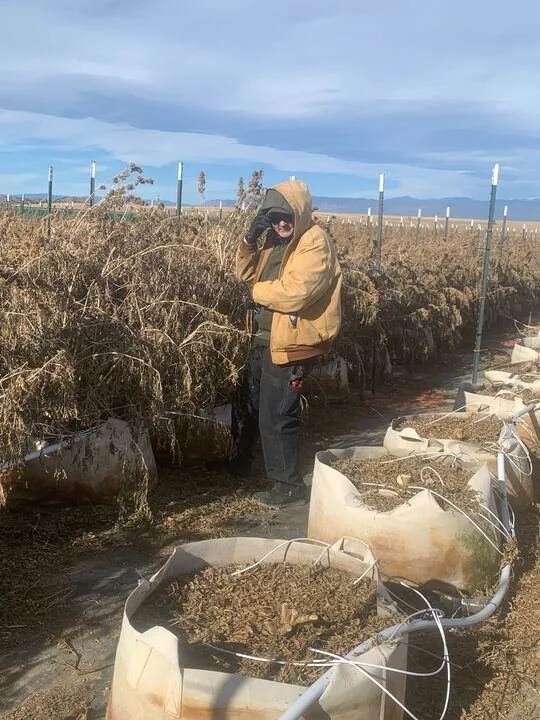 Grasshopper Farms 12.jpg