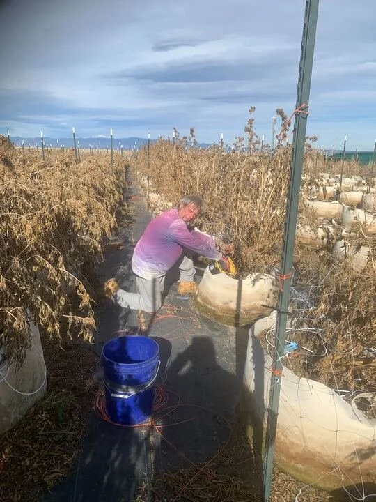 Grasshopper Farms 14.jpg