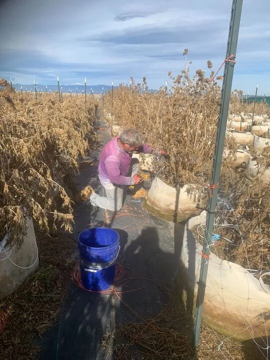 Grasshopper Farms 15.jpg