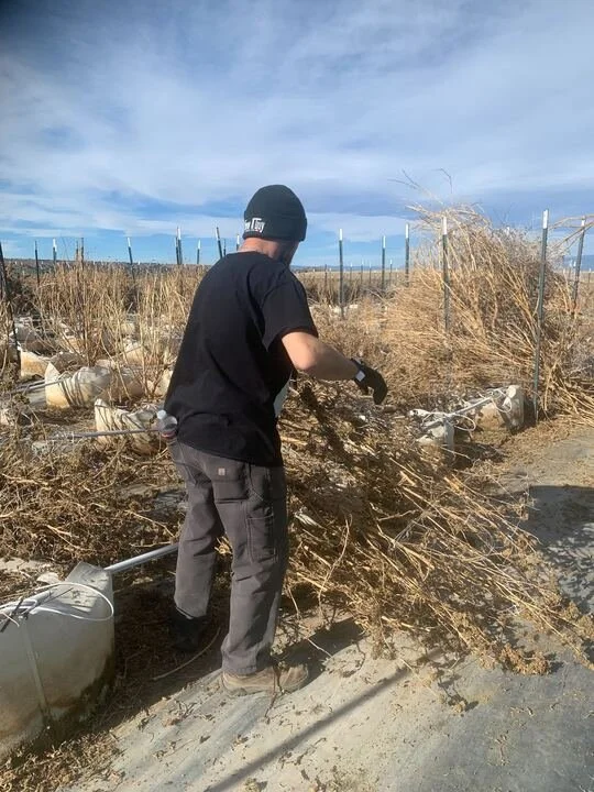 Grasshopper Farms 16.jpg