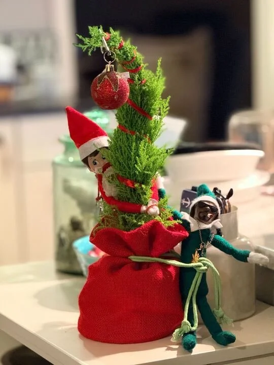 Grasshopper Farms 35.jpg