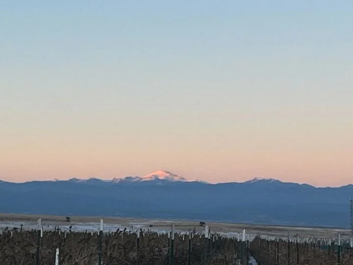 Grasshopper Farms 2.jpg