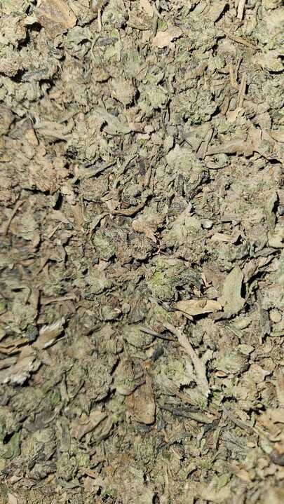 Grasshopper Farms 3.jpg