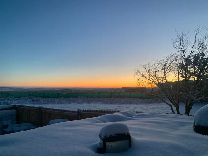 Grasshopper Farms 6.jpg