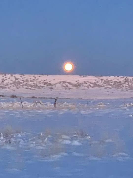 Grasshopper Farms 7.jpg