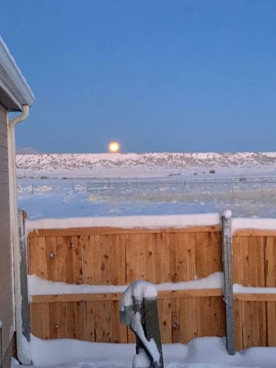 Grasshopper Farms 8.jpg