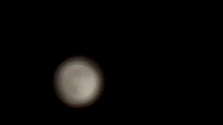 Grasshopper Farms 11.jpg