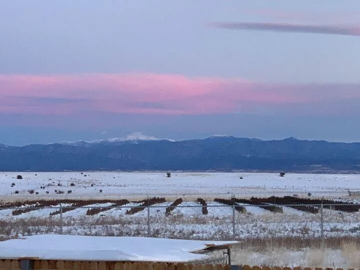 Grasshopper Farms 12.jpg