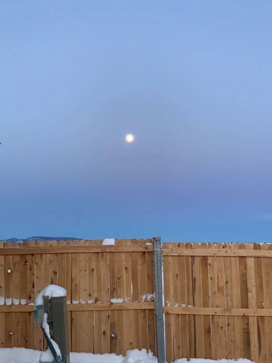 Grasshopper Farms 13.jpg