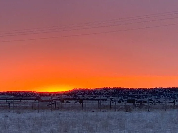 Grasshopper Farms 14.jpg