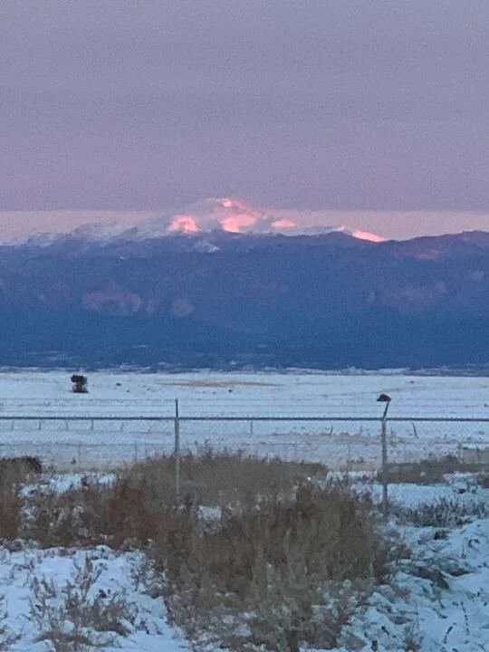 Grasshopper Farms 15.jpg