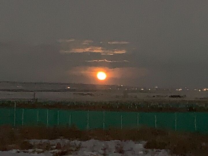 Grasshopper Farms 17.jpg