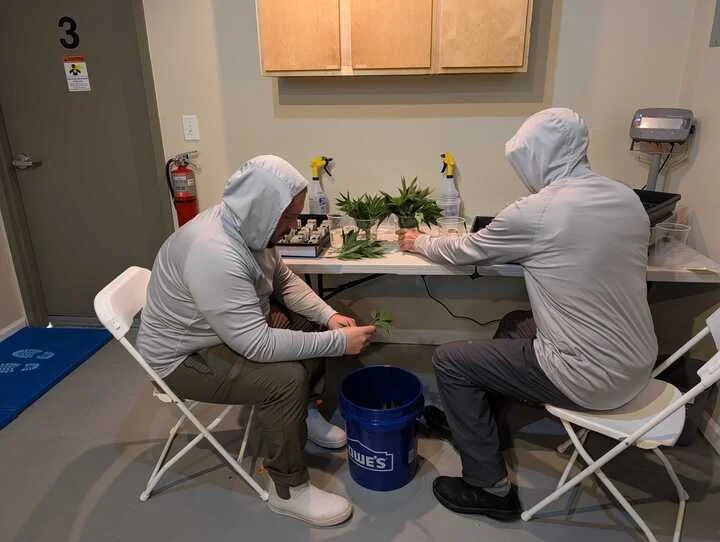 Grasshopper Farms 22.jpg