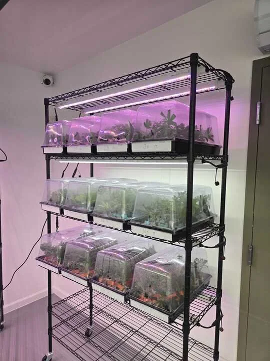 Grasshopper Farms 23.jpg