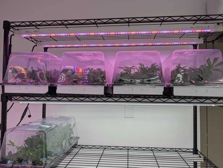 Grasshopper Farms 24.jpg