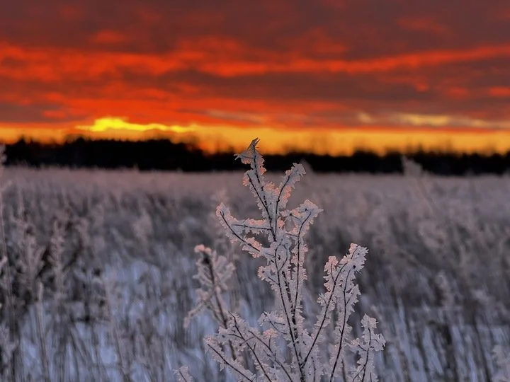 Grasshopper Farms 26.jpg